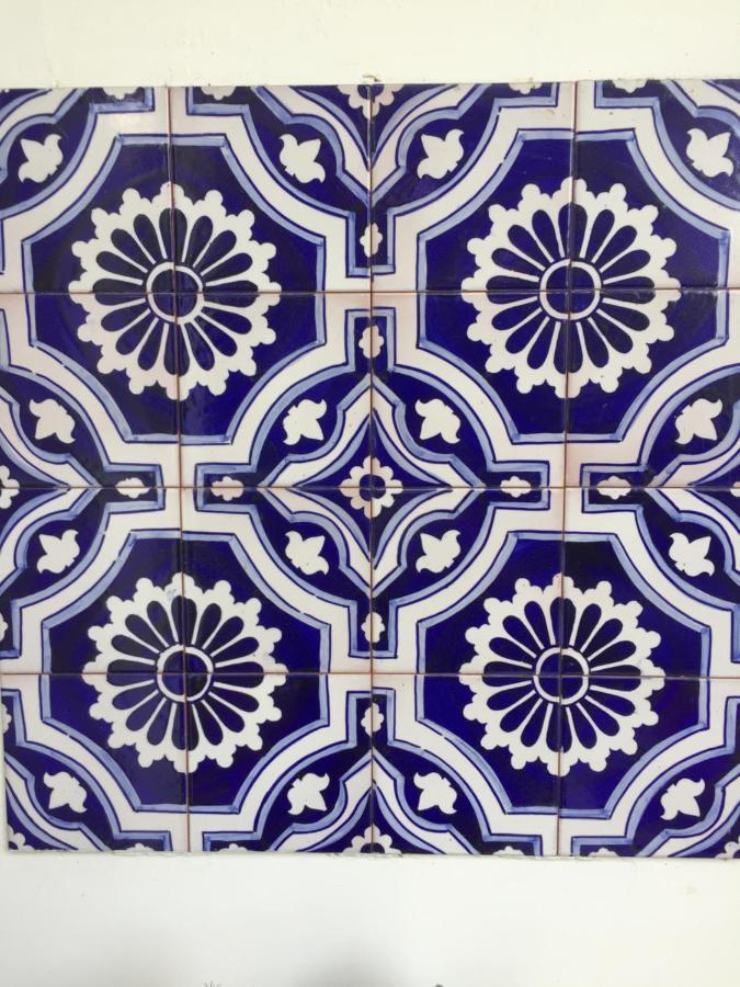 Passirano B&B La Villa Mediterranea المظهر الخارجي الصورة